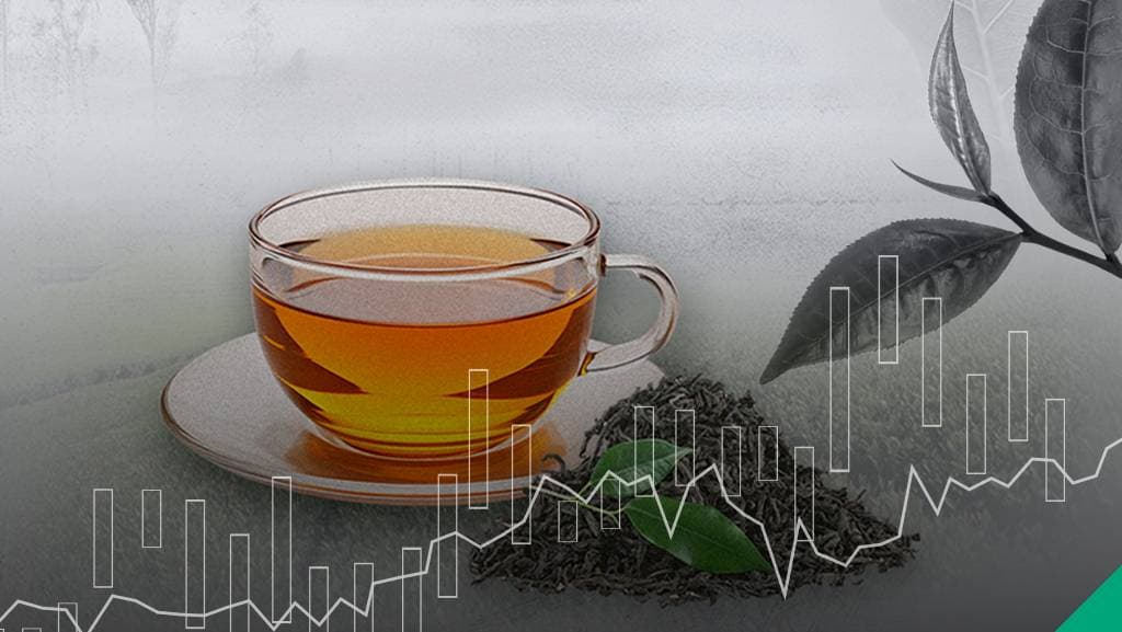 يوم الشاي العالمي.. تعرّف على المشروب الذهبي المغذي لاقتصادات الدول