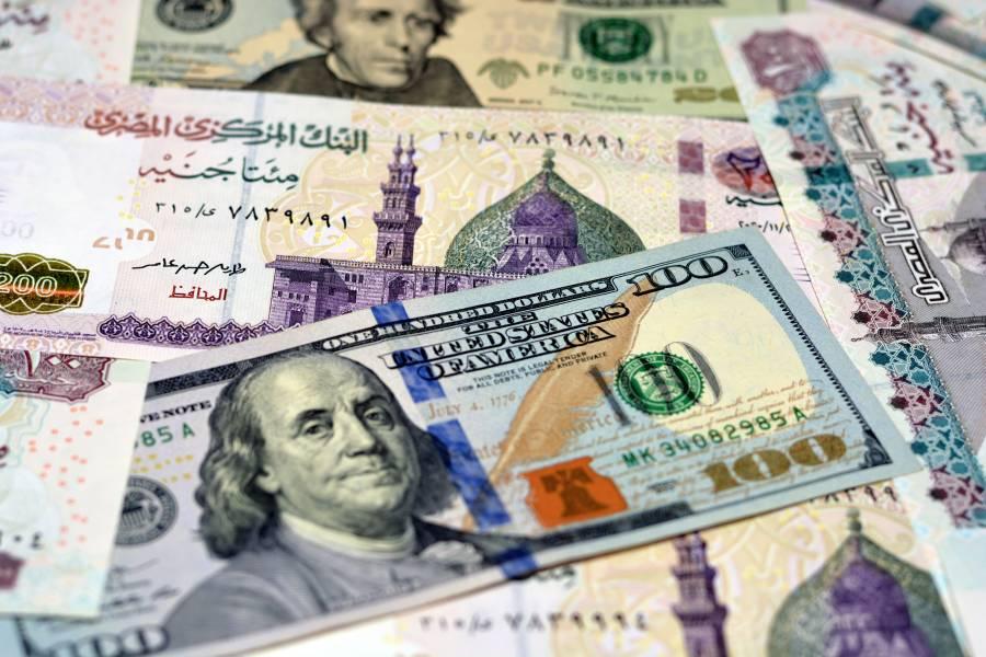 سعر الدولار في مصر اليوم