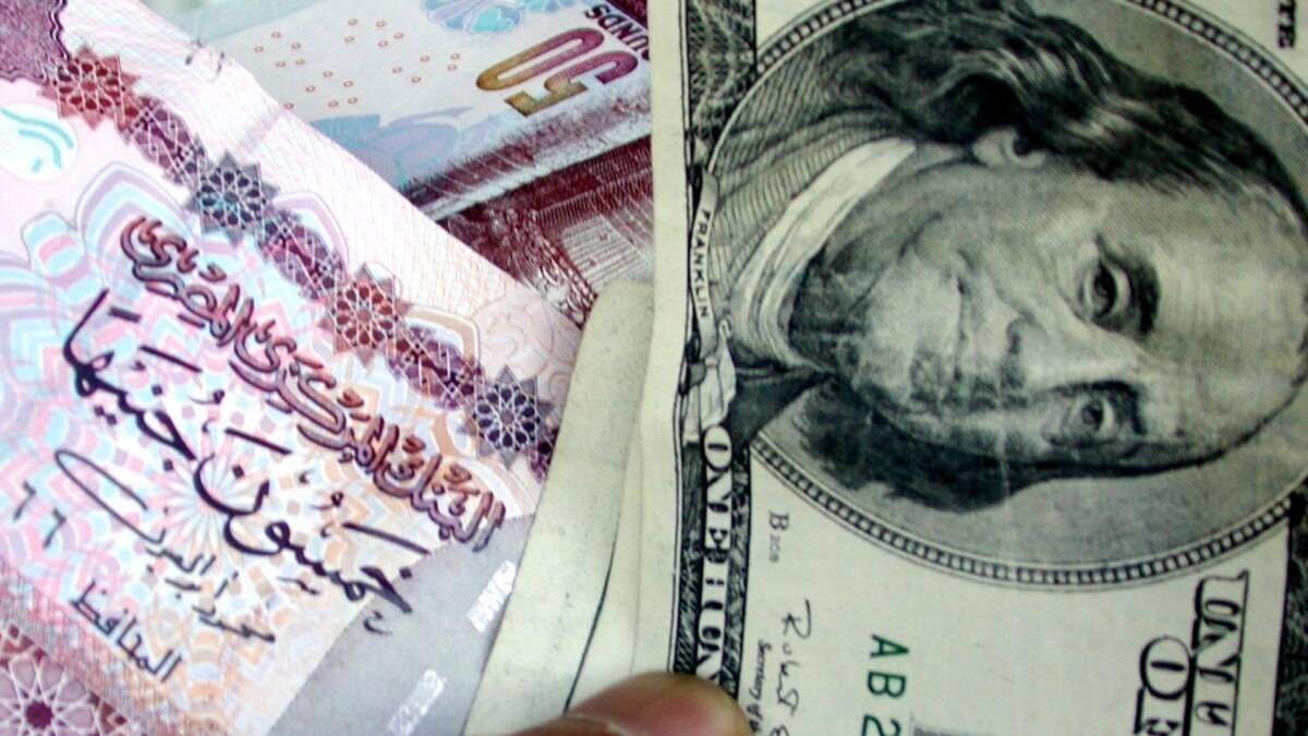 سعر الدولار في مصر مقابل الجنيه