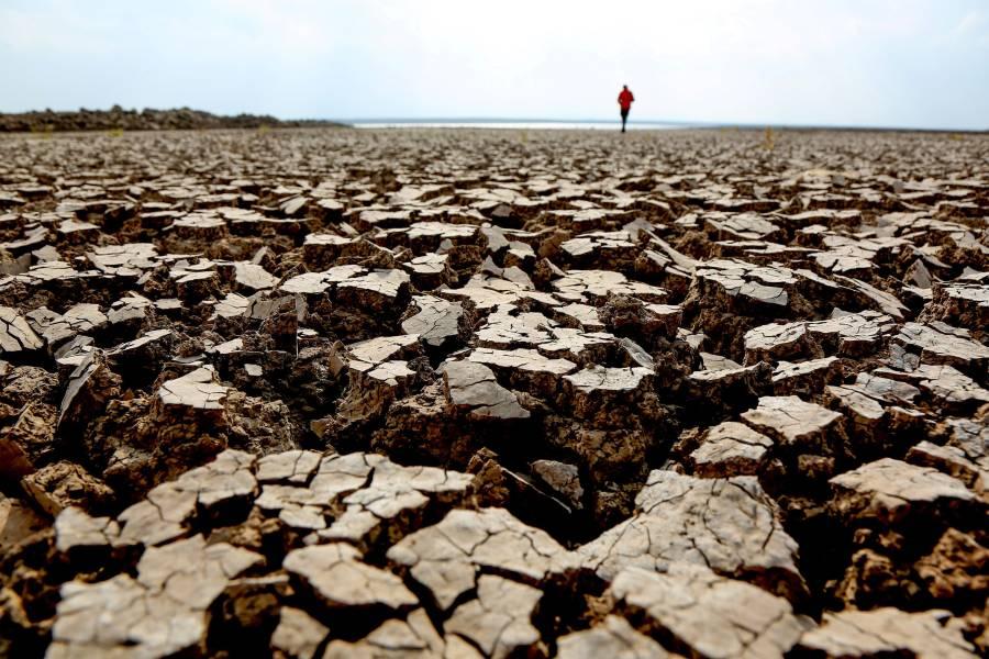 الجفاف يفاقم البطالة في المغرب ويضع آلاف المزارعين تحت رحمة المناخ (رويترز)