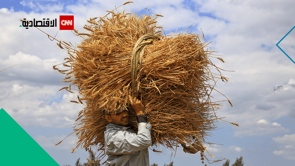 توقعات بارتفاع واردات مصر من القمح 11.4%