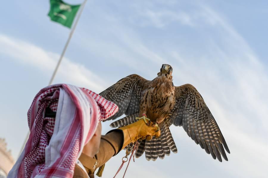 الصقور والصيد.. هواية تجذب مئات الآلاف لمعرض بالسعودية