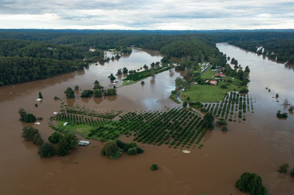 تأثر الفيضانات في شرق أستراليا بجودة محصول القمح./شترستوك