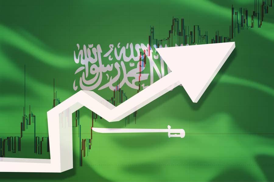 القطاع الخاص السعودي غير المنتج للنفط