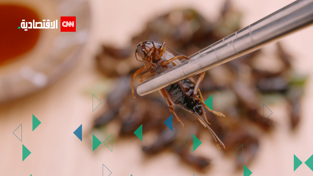 الحشرات قد تكون غذاء المستقبل في ظل أزمة الأغذية العالمية