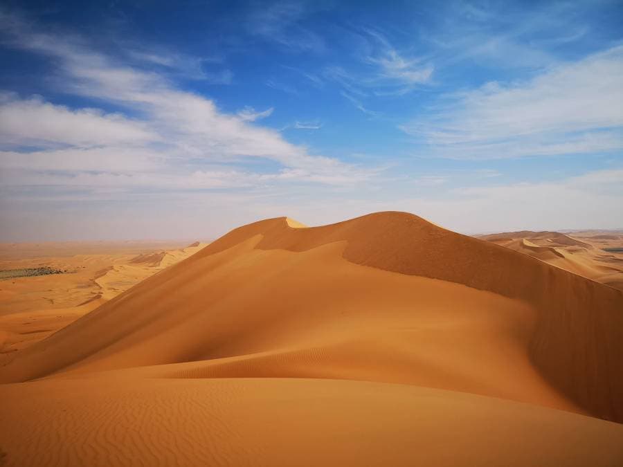 الكثبان الرملية داخل محمية بني معارض السعودية