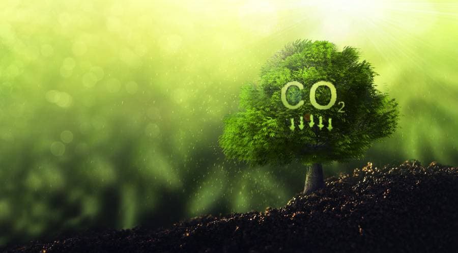 دعم الشركات لقضايا المناخ يخفض الانبعاثات الكربونية