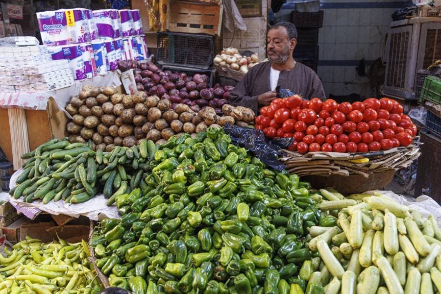 بائع الخضراوات في مصر
