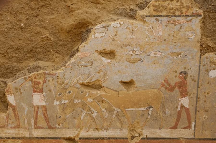 اكتشاف لوحات فرعونية ملونة ترصد الحياة اليومية في مصر القديمة قبل 4300 عام، CNN