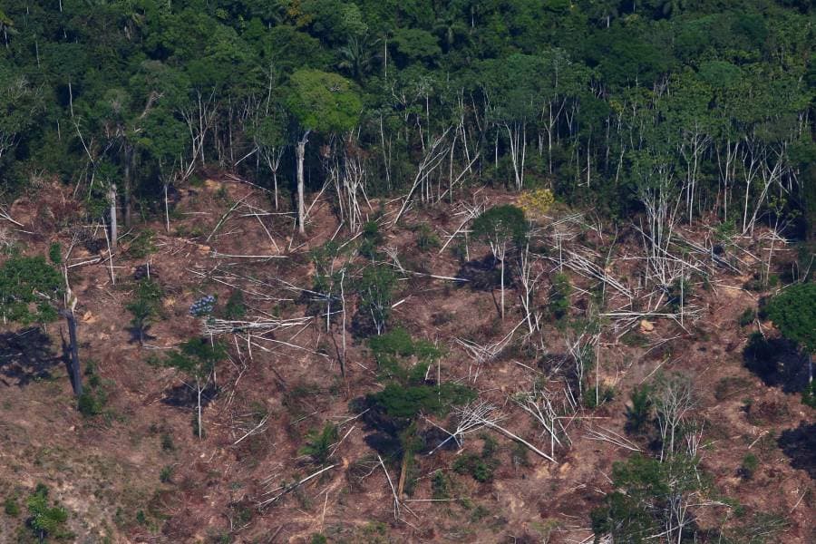 صورة أرشيفية لقطعة أرض محترقة في غابة جامانكسيم الوطنية في الأمازون بولاية بارا البرازيلية (رويترز)