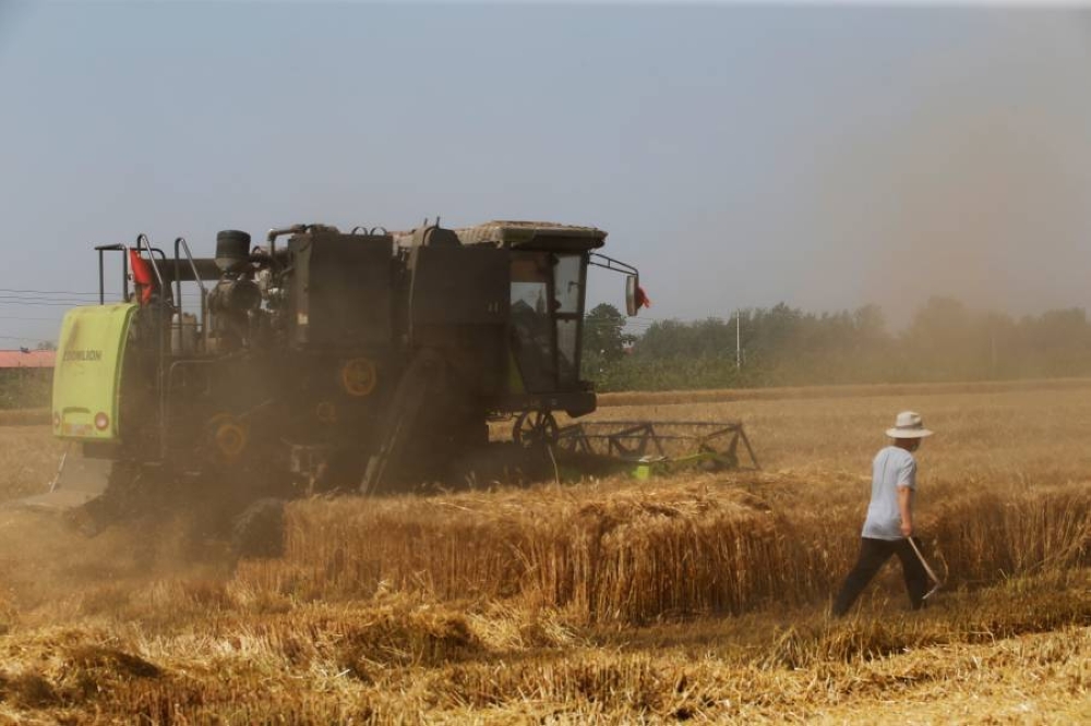 الصين تعلن خططاً جديدة لإنعاش القطاع الزراعي وتعزيز الأمن الغذائي