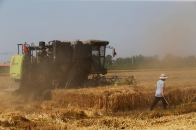 الصين تعلن خططاً جديدة لإنعاش القطاع الزراعي وتعزيز الأمن الغذائي