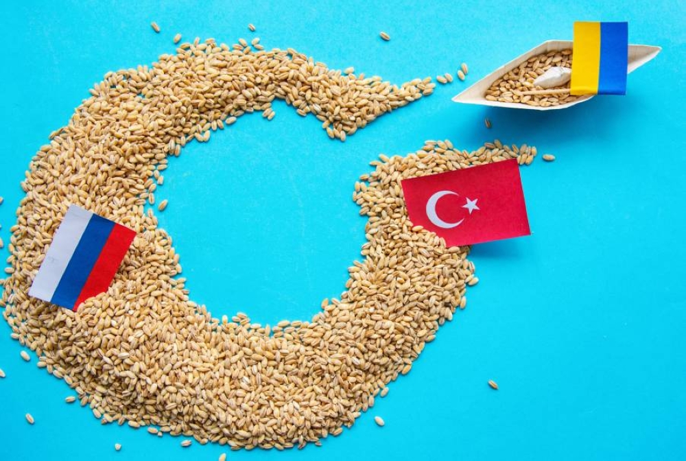 من بوابة الحبوب 2022 إلى قمة 2025.. كيف تعيد تركيا ضبط أزمات الغذاء والطاقة