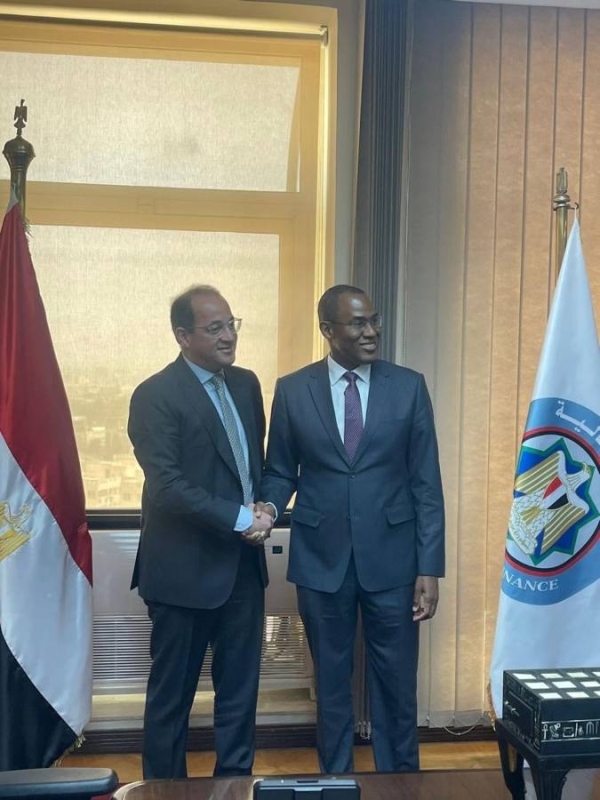 نائب المدير العام لصندوق النقد الدولي نايجل كلارك، وزير المالية المصري أحمد كجوك