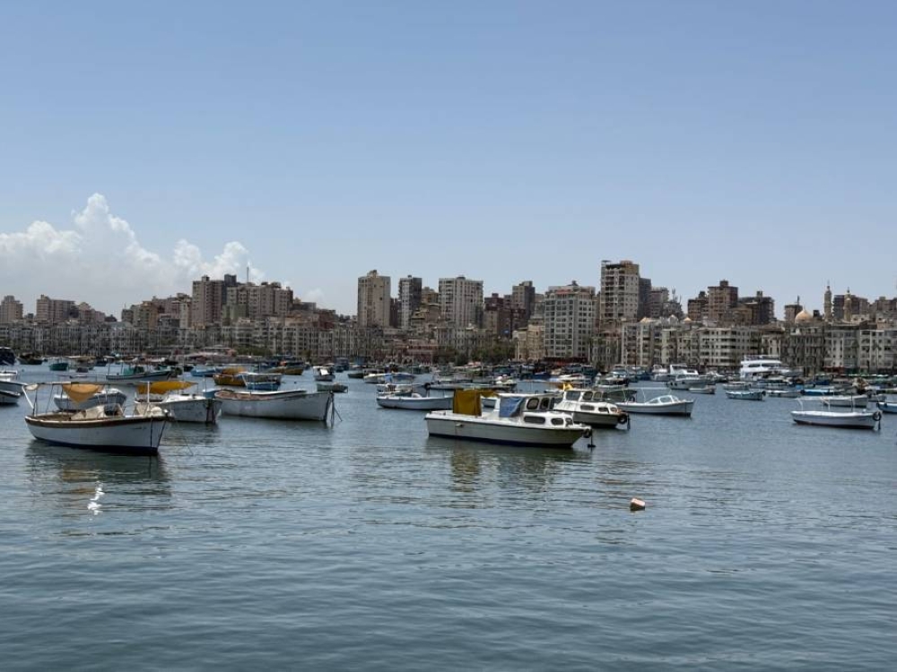 عاصفة رعدية تضرب الإسكندرية وخبير: 700 مليون دولار  تحتوي الأزمة