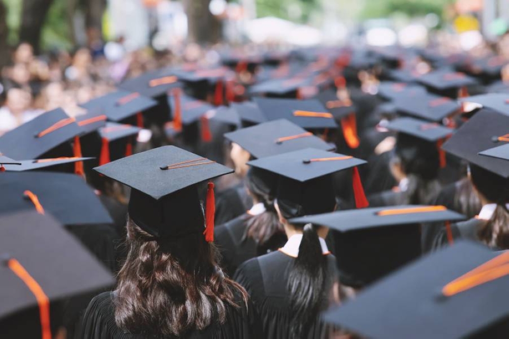قبل اختيارك للجامعة.. 10 كليات شعبية بمعدل بطالة مرتفع بين خريجيها 