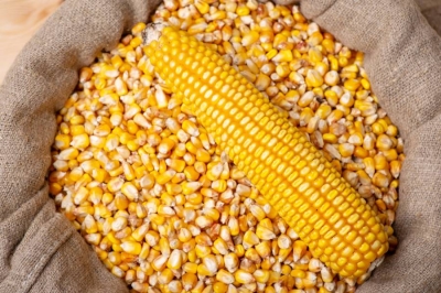 ضغوط أقل على أسعار الغذاء عالميّاً رغم ارتفاع منتجات اللحوم والألبان
