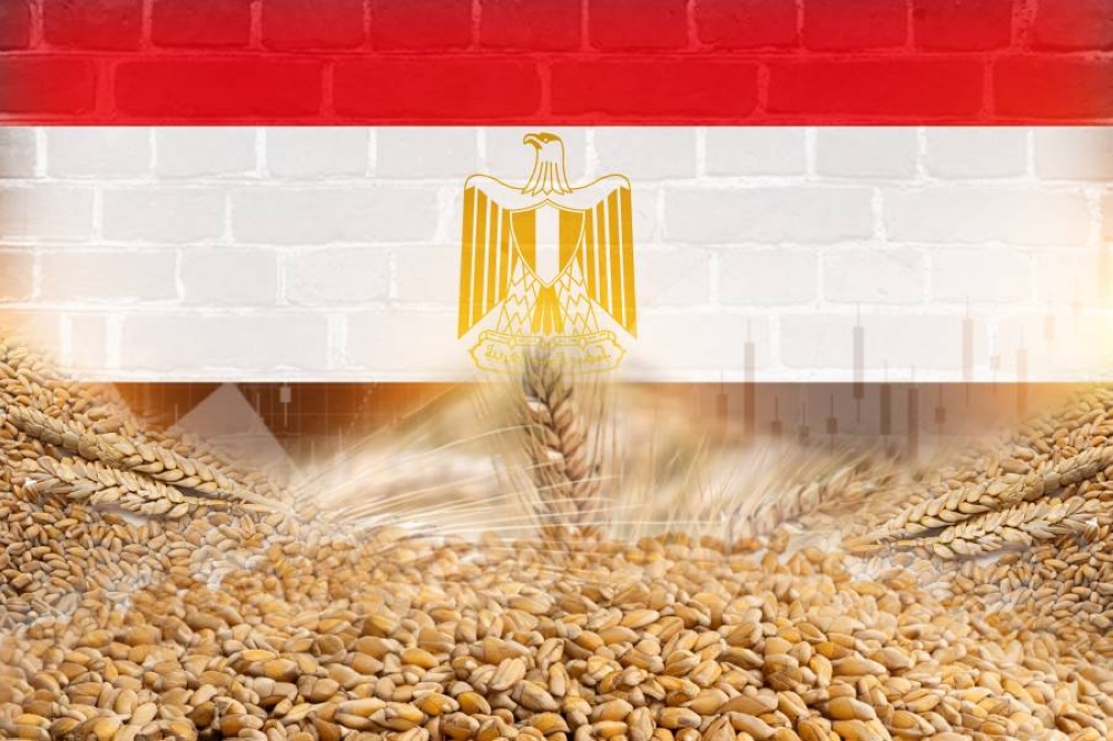 مصر تبدأ تحميل أول شحنة قمح فرنسي يوم السبت 