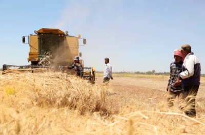 الأمم المتحدة تحذر من جفاف شديد في سوريا يهدد الأمن الغذائي