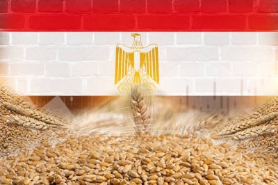 مصر تبدأ تحميل أول شحنة قمح فرنسي يوم السبت 