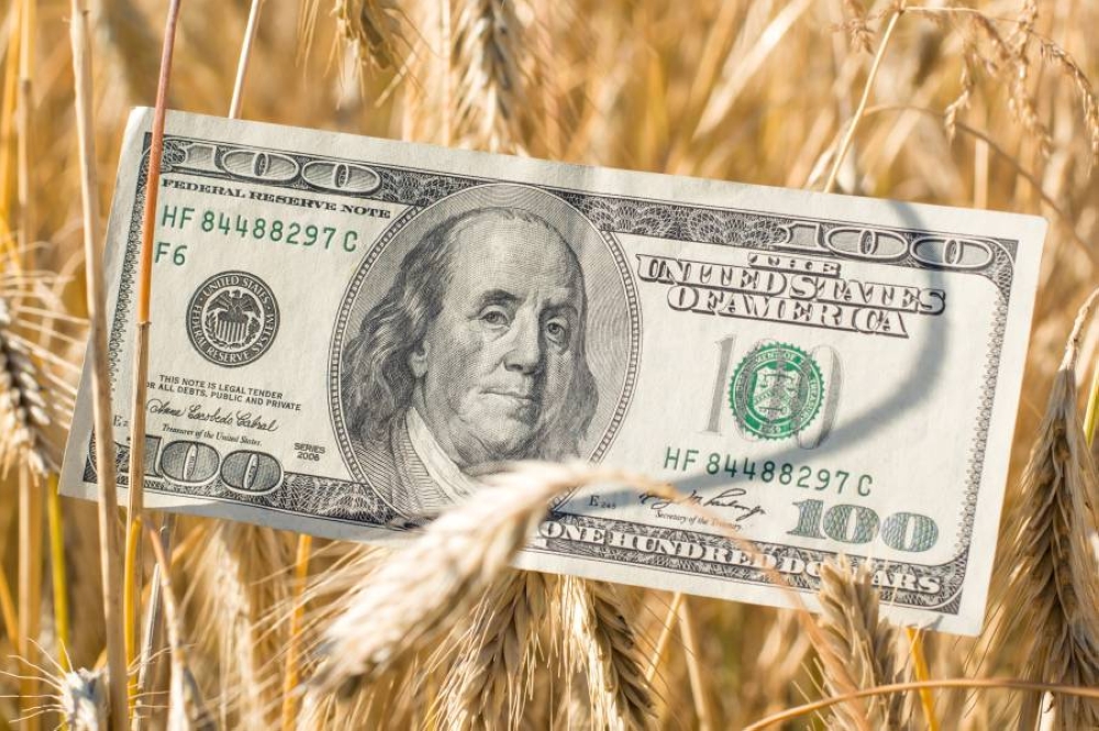 الطقس يربك أسواق الحبوب أكثر من التوترات الجيوسياسية