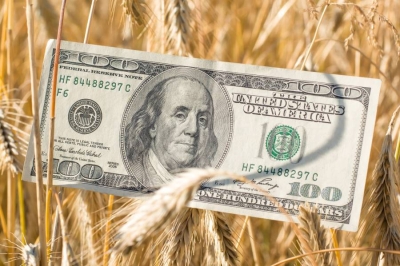 الطقس يربك أسواق الحبوب أكثر من التوترات الجيوسياسية
