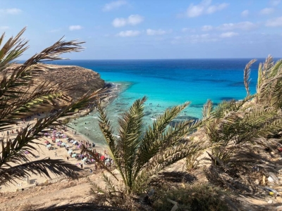 ديار القطرية تعتزم استثمار 29.7 مليار دولار في علم الروم