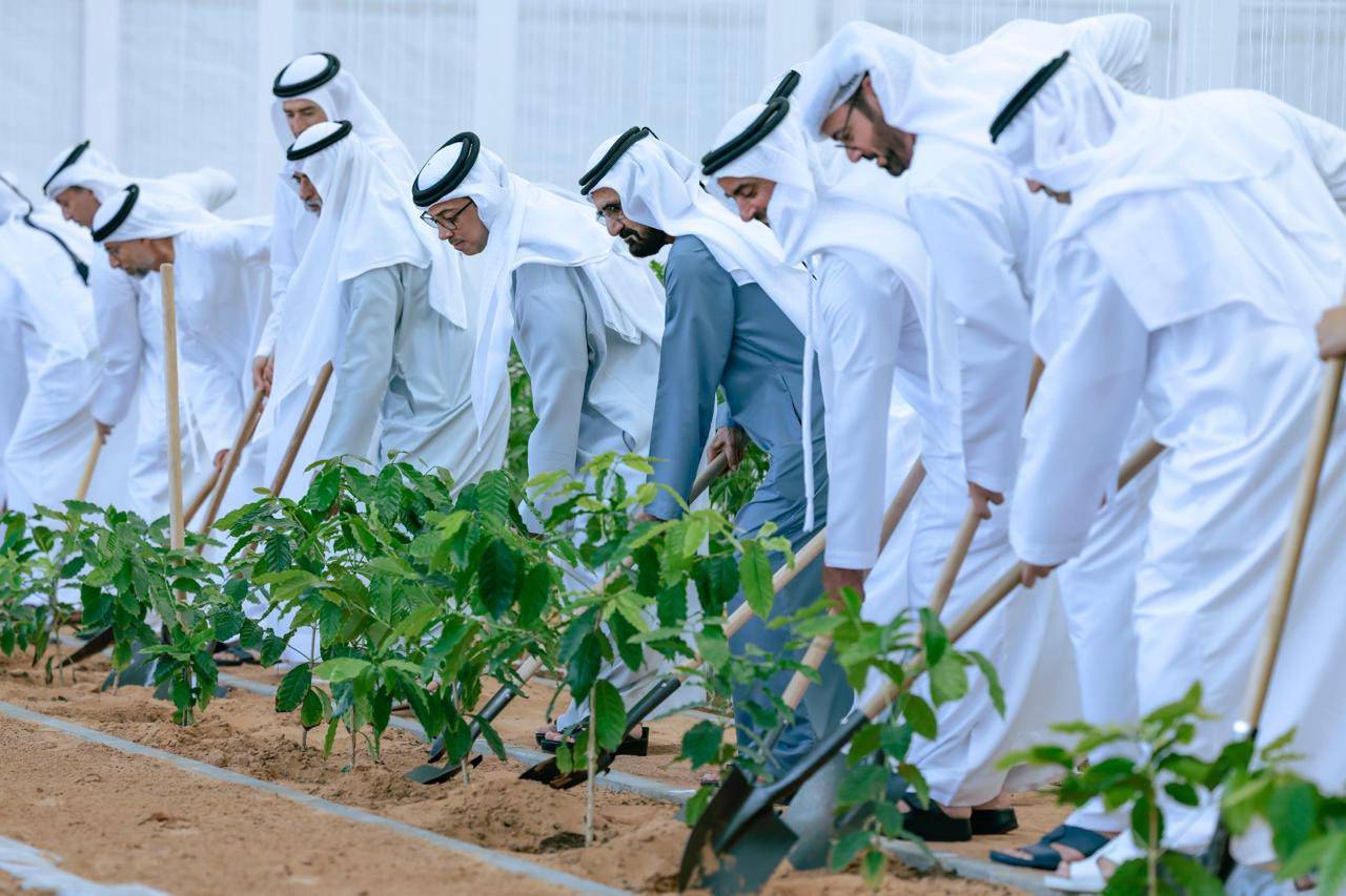 «ازرع الإمارات».. مبادرة لضمان الأمن الغذائي وتوسيع الرقعة الخضراء