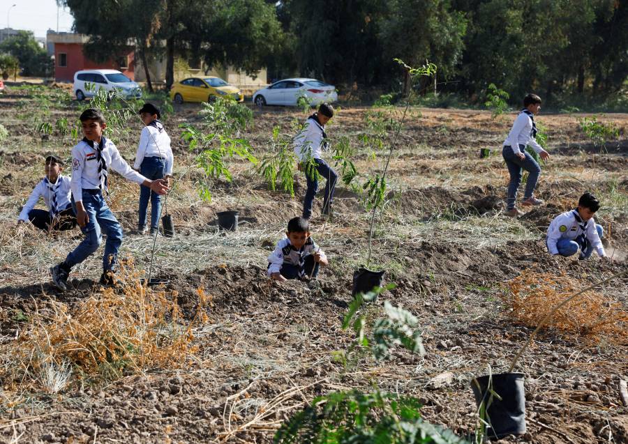 تحذيرات أممية: الزراعة غير المستدامة تهدد مستقبل الكوكب